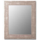 Alternate image 5 for Hitchcock-Butterfield 30-Inch x 66-Inch Decorative Wall Mirror in Weathered Grey