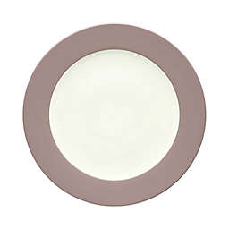 Noritake® Colorwave Rim Dinner Plate in Clay