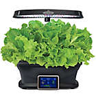 Alternate image 6 for Miracle-Gro&reg; AeroGarden&trade; Heirloom Salad Greens Seeds 9-Pod Kit