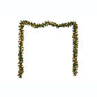 Alternate image 2 for H for Happy&trade; 20-Foot Christmas Garland in Green/Red with Clear Lights