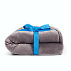 Alternate image 1 for Simply Essential&trade; Solid Plush Throw Blanket in Excalibur