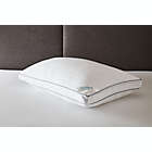 Alternate image 1 for Nestwell&trade; Egyptian Cotton 625-Thread Count Medium Support Bed Pillow