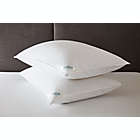 Alternate image 5 for Nestwell&trade; White Down Soft Support Standard/Queen Bed Pillow