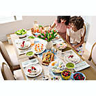 Alternate image 1 for Bee &amp; Willow&trade; Charlotte Floral Organic 12-Piece Dinnerware Set