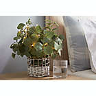 Alternate image 2 for Bee & Willow&trade; 16-Inch Faux Lighted Greenery Arrangement with Rattan Basket