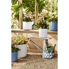 Alternate image 1 for Everhome&trade; Garden Tools Set