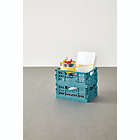 Alternate image 1 for Simply Essential&trade; Mini Collapsible Crates in Brittany Blue (Set of 2)