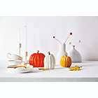 Alternate image 1 for H for Happy&trade; Ceramic Pumpkins in Orange (Set of 3)
