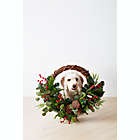 Alternate image 1 for Bee &amp; Willow&trade; 26-Inch Christmas Greenery Half Wreath