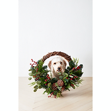 Bee &amp; Willow&trade; 26-Inch Christmas Greenery Half Wreath. View a larger version of this product image.