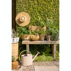 Alternate image 1 for Bee & Willow&trade; Watering Can in Beige