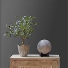 Alternate image 6 for Global Caravan&trade; 8-Inch LED Moon Round Table Lamp