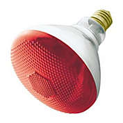 LB International Incandescent Weatherproof 100 Watt Indoor/Outdoor Red Floodlight Bulb