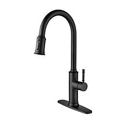 Inq Boutique Kitchen Faucet with Pull Out Spraye