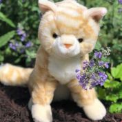 Auswella Plush Tabby Cat Kitten Taffy- Plush Stuffed Animals