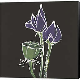 Great Art Now Lotus on Black II by Chris Paschke 24-Inch x 24-Inch Canvas Wall Art