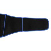 Protexx Waist Lower Back Brace - Black