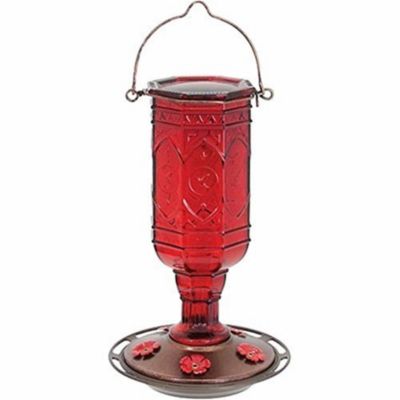 More Birds Red Jewel Hummingbird Feeder, Glass Bottle, Nectar Capacity 20oz