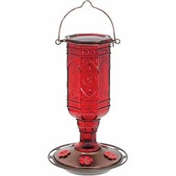 More Birds Red Jewel Hummingbird Feeder, Glass Bottle, Nectar Capacity 20oz