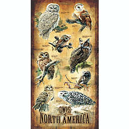 Sunsout Owls of North America 500 pc  Jigsaw Puzzle