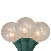 Northlight 20-Count Clear G40 Globe Patio Garden Christmas Light Set, 19ft Green Wire