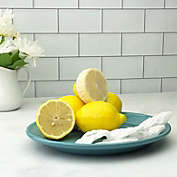 Kitchen Supply Lemon Stretch Mesh Wraps 12 Pack