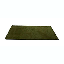 Nearly Natural 4' x 8' Artificial Professional Grass Turf Carpet UV Resistant (Indoor/Outdoor)