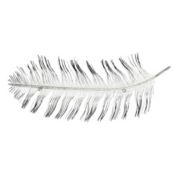 Cheungs Home Decorative Decorative metal peacock feather wall decor