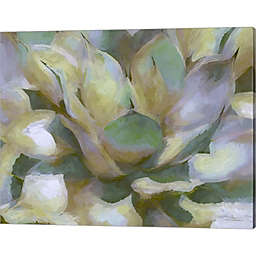Great Art Now Agave Forms II by Cora Niele 20-Inch x 16-Inch Canvas Wall Art