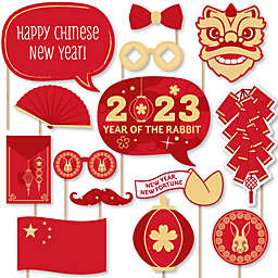 Big Dot of Happiness Chinese Lanterns - 2022 Lunar New Year Photo Booth Props Kit - 20 Count
