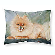 Caroline&#39;s Treasures Pomeranian Full Body Fabric Standard Pillowcase 30 x 20.5