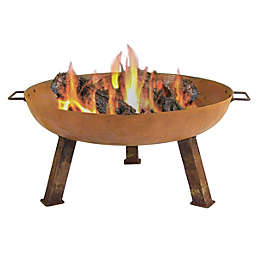 Sunnydaze Rustic Cast Iron Wood Burning Fire Pit - 30 Inch
