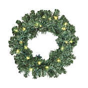 Equinox 2 Christmas/Holiday Wreath, Color-Changing LED Lights, Battery-Operated, 24"