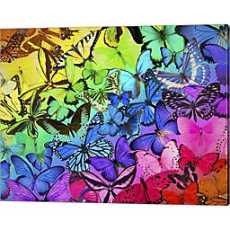 Great Art Now Rainbow of Butterflies 2 by Cora Niele 20-Inch x 16-Inch Canvas Wall Art