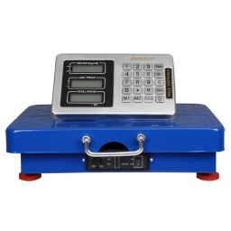Inq Boutique Leadzm 200KG/441lbs Wireless LCD Display Personal Floor Postal Platform