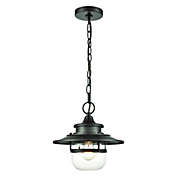ELK lighting Renninger 1-Light Outdoor Pendant in Oil Rubbed Bronze with Clear Glass