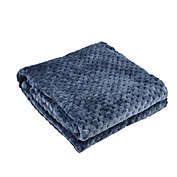 PiccoCasa Home Bedroom Travel Warm Soft Mesh Blanket Rug Plush Fleece Bed Quilt Lightweight Decorative Throws and Blankets for Bed, Sofa, Couch, Travel, Camping Yale Blue