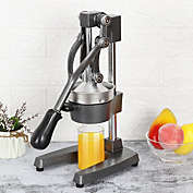 ZenStyle Manual Extractor Fruit Juicer Squeezer in Gray