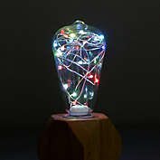 Infinity Merch LED Fairy Light Bulb Globe Lamp