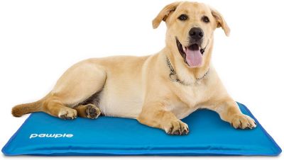 Pawple Dog Cooling Mat Pet Pad for Kennels, Crates and Beds, Thick Foam Base