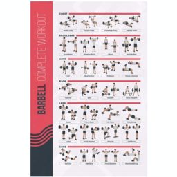 PosterMate FitMate Barbell Workout Exercise Poster - Workout Routine with Free Weights, Home Gym Decor, Room Guide (16.5 x 25 Inch) - PosterMate