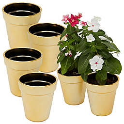 Juvale Mini Plant Pots?for Flower and?Succulent Display?(Gold, 3.6 In, 6 Pack)