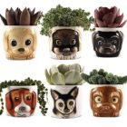 Alternate image 0 for Cat Planter Pot - 6 Mini Succulent Kitty Pots - Cute Flower Pots For Indoor Plants - Cat