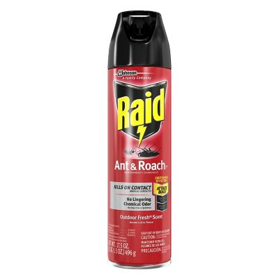 Raid Ant & Roach Killer 26, Outdoor Fresh Scent, 17.5 oz