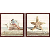 Great Art Now Driftwood Shell B by Danhui Nai 13-Inch x 13-Inch Framed Wall Art (Set of 2)