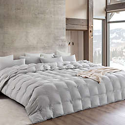 Byourbed Snorze Cloud Comforter - Coma Inducer - Oversized Alaskan King in Silver Cloud