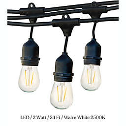 Ambience Pro LED String Lights - S14, 2W, 24ft, 2500K