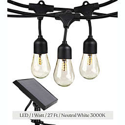 Ambience Pro Solar LED String Lights - S14, 1W, 27ft, 3000K
