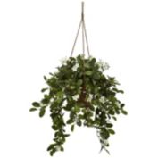 Nearly Natural Mixed Stephanotis Plant Hanging Basket