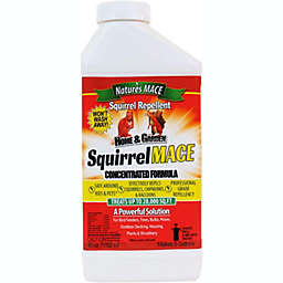 Ft Natures MACE SQUCON9004 Squirrel Repellent Concentrate Treats 87,000 Sq 